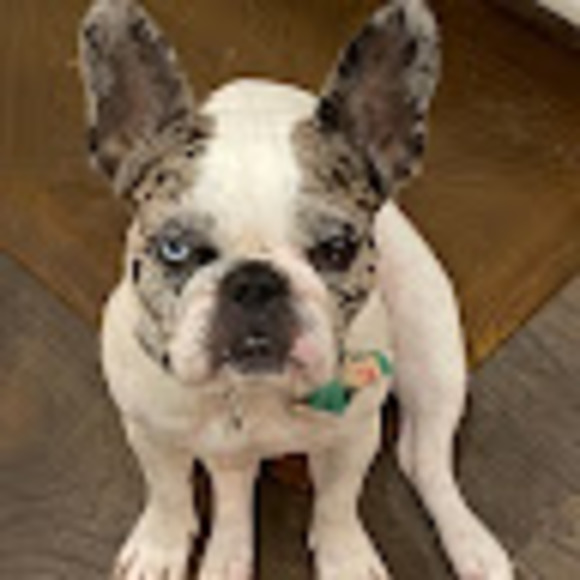 Meet your Posher, Stefani - Picture 1 of 1